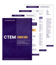 CTEM guide