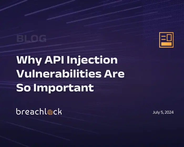 Why API Injection Vulnerabilities Are So Important Blog Cover with Title
