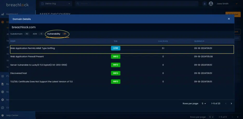 Asset  Discovery:  Domain Vulnerability Details Screenshot